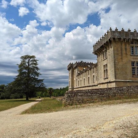 Gite Charmant Au Coeur D'Un Chateau Historique Avec Parc, Proche De Cognac, Ideal Famille Et Nature - Fr-1-653-167 Cherves-de-Cognac Kültér fotó